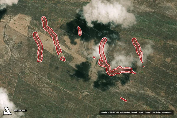 Imagem de satélite — Embargo IBAMA — Infração da Flora — Belo Monte/AL