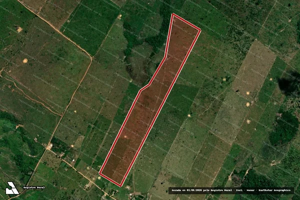 Imagem de satélite de Infração Ambiental em Porto Velho - RO