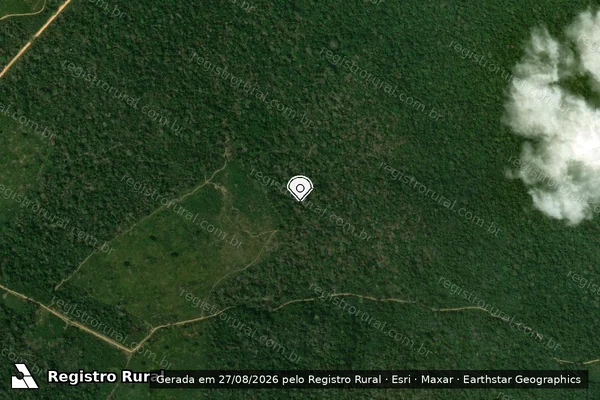 Imagem de satélite de Infração da Flora em Uruará - PA (marcador da localização)