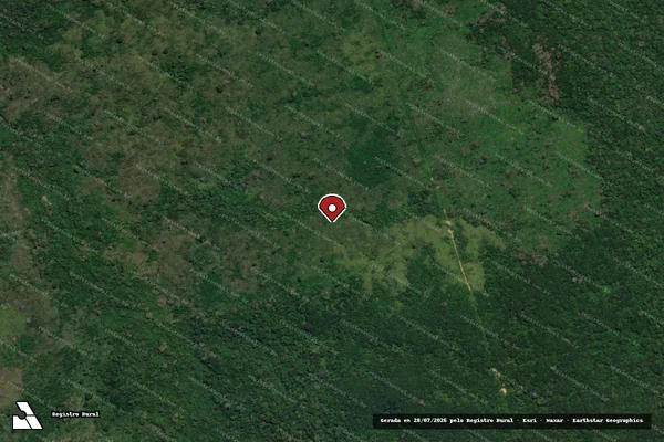 Imagem de satélite de Infração Ambiental em Novo Progresso - PA (marcador da localização)