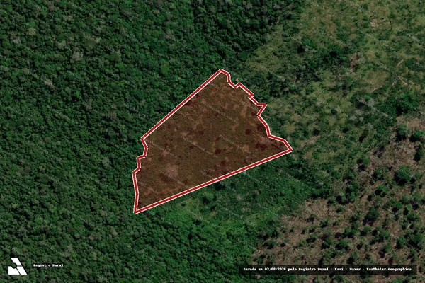 Imagem de satélite de Infração Ambiental em Jacareacanga - PA
