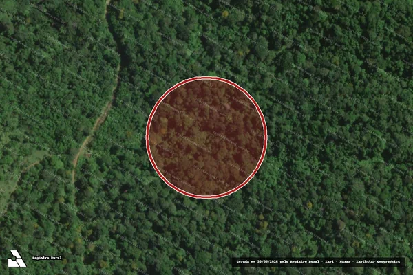 Imagem de satélite — Embargo IBAMA — Infração Ambiental - Maraú/BA