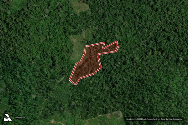 Imagem de satélite de Infração Ambiental em Senador José Porfírio - PA
