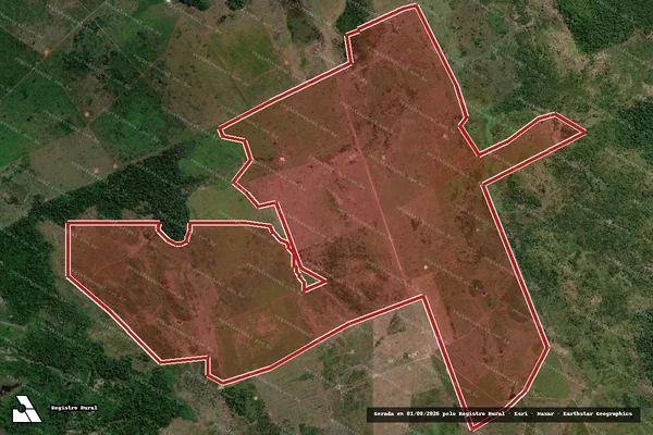 Imagem de satélite — Embargo IBAMA — Infração da Flora — São Félix Do Xingu/PA