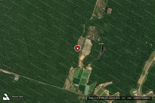 Imagem de satélite de Infração Ambiental em Manaus - AM (marcador da localização)