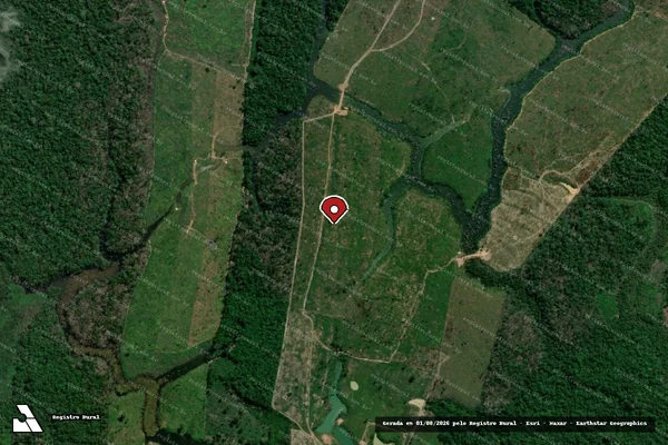 Imagem de satélite — Embargo IBAMA — Infração da Flora - Borba/AM