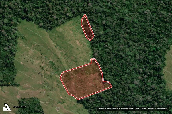 Imagem de satélite de Infração da Flora em Boca do Acre - AM