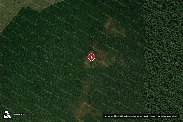 Imagem de satélite de Infração da Flora em Porto Velho - RO (marcador da localização)