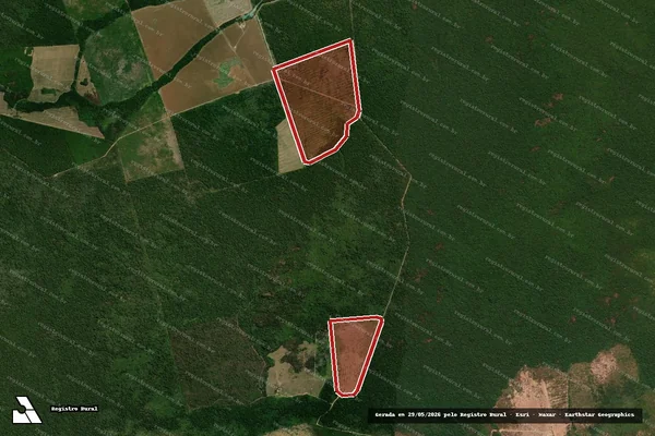Imagem de satélite — Embargo IBAMA — Infração da Flora - Marcelândia/MT