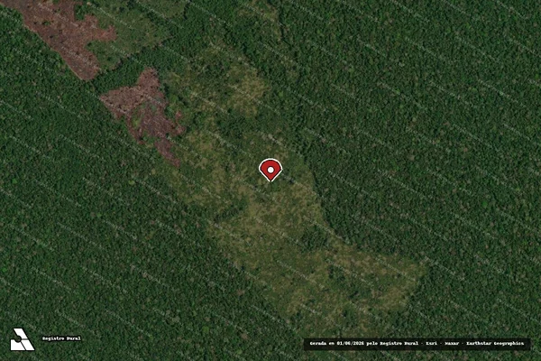 Imagem de satélite de Infração da Flora em Lábrea - AM (marcador da localização)
