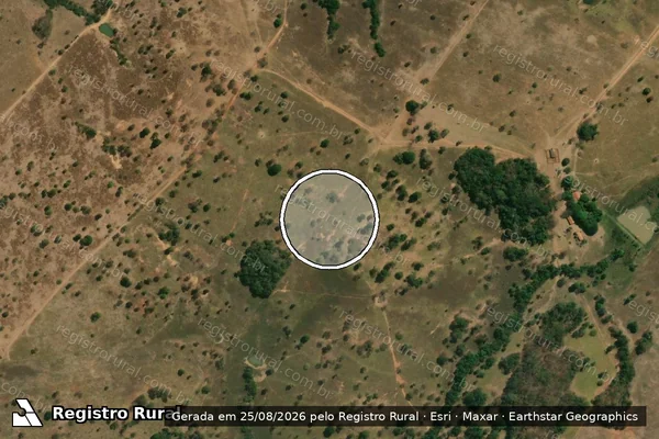 Imagem de satélite de Infração Ambiental em Diorama - GO