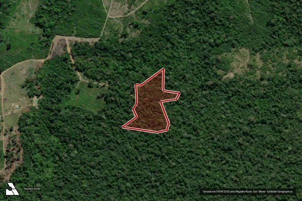 Imagem de satélite de Infração da Flora em Mojuí dos Campos - PA