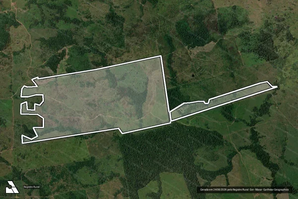 Imagem de satélite de Infração da Flora em Colniza - MT