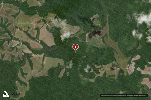 Imagem de satélite de Infração Ambiental em Santa Cruz Cabrália - BA (marcador da localização)