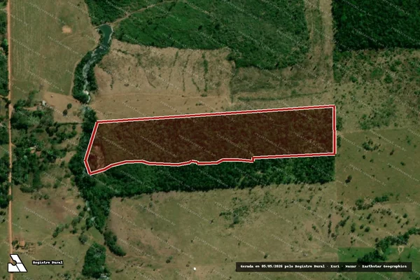 Imagem de satélite de Infração Ambiental em Guajará-Mirim - RO