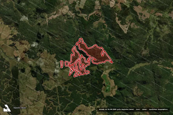 Imagem de satélite de Infração Ambiental em Palmas - PR