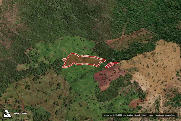 Imagem de satélite de Infração da Flora em Crixás - GO