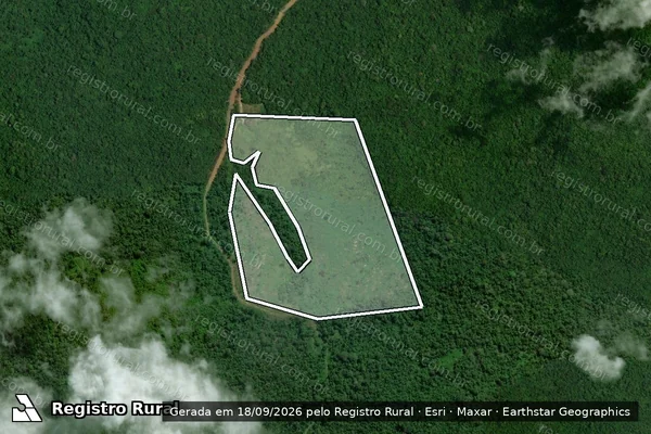Imagem de satélite — Embargo IBAMA — Infração da Flora - Iracema/RR