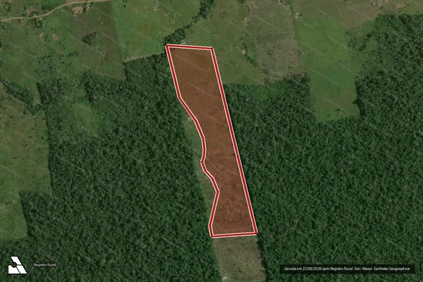 Imagem de satélite de Infração Ambiental em Rorainópolis - RR
