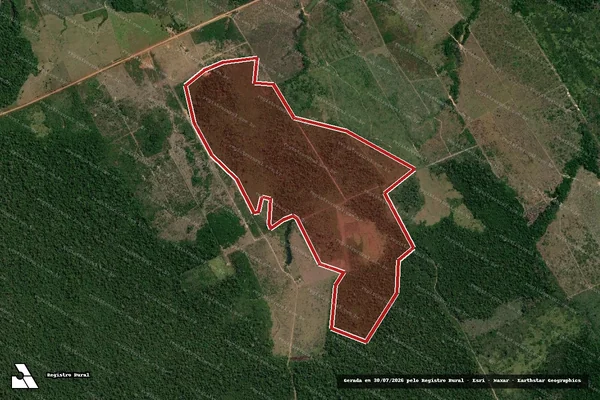 Imagem de satélite de Infração da Flora em Manicoré - AM