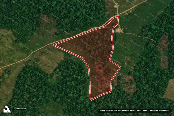 Imagem de satélite — Embargo IBAMA — Infração da Flora — Feijó/AC