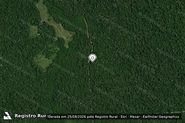 Imagem de satélite — Embargo IBAMA — Infração referente a Qualidade Ambiental — Parintins/AM