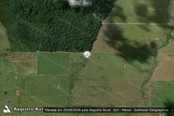 Imagem de satélite de Infração Ambiental em Dom Eliseu - PA (marcador da localização)