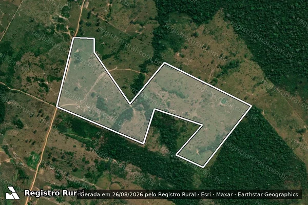 Imagem de satélite de Infração da Flora em Boca do Acre - AM