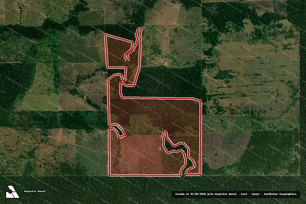 Imagem de satélite de Infração Ambiental em Colniza - MT