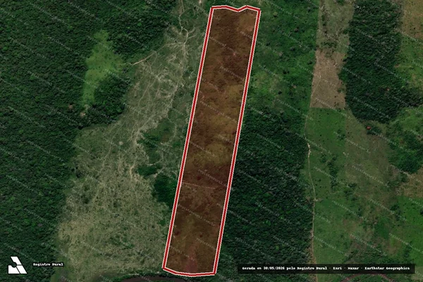Imagem de satélite de Infração da Flora em Altamira - PA