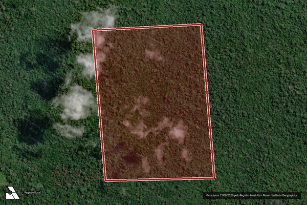 Imagem de satélite de Infração da Flora em Senador José Porfírio - PA
