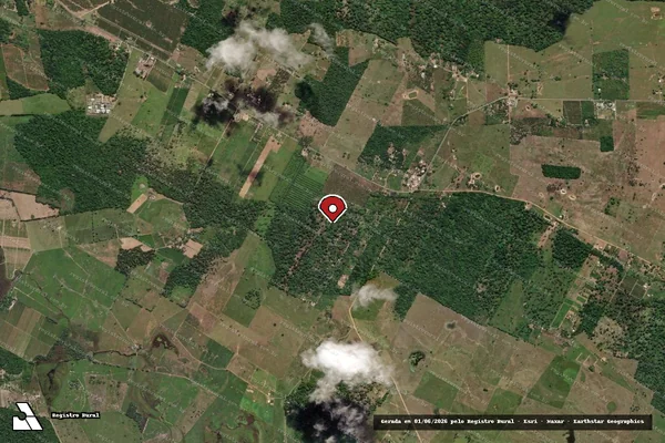 Imagem de satélite — Embargo IBAMA — Infração da Flora — Linhares/ES
