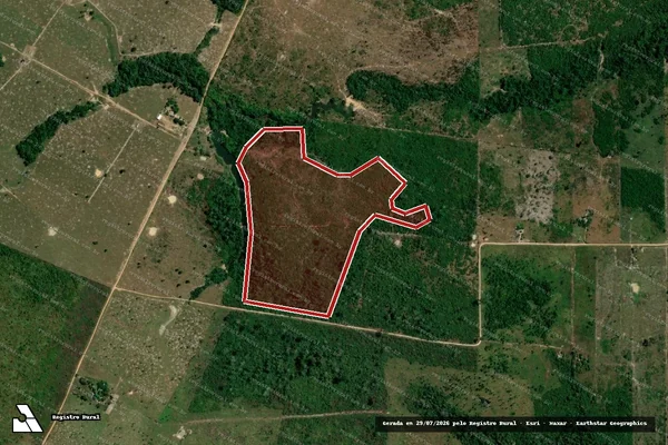 Imagem de satélite de Infração da Flora em Candeias do Jamari - RO