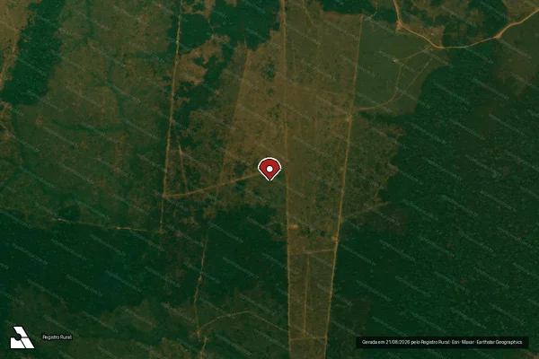 Imagem de satélite de Infração da Flora em Porto Velho - RO (marcador da localização)