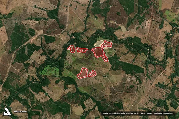 Imagem de satélite de Infração da Flora em Goiás - GO