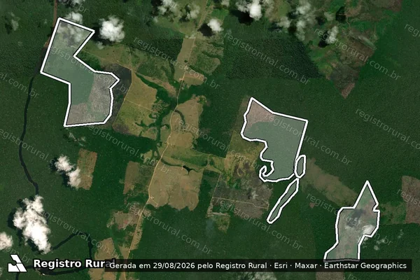 Imagem de satélite de Infração da Flora em Novo Aripuanã - AM