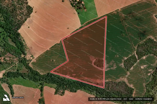 Imagem de satélite de Infração Ambiental em Uruaçu - GO