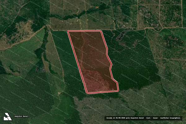 Imagem de satélite de Infração da Flora em Lábrea - AM