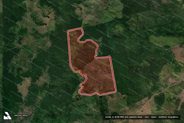 Imagem de satélite de Infração da Flora em Altamira - PA