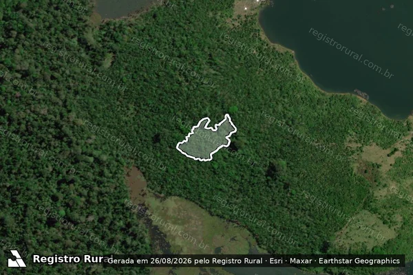Imagem de satélite de Infração da Flora em Altamira - PA