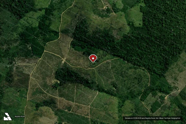 Imagem de satélite de Infração da Flora em Pacajá - PA (marcador da localização)