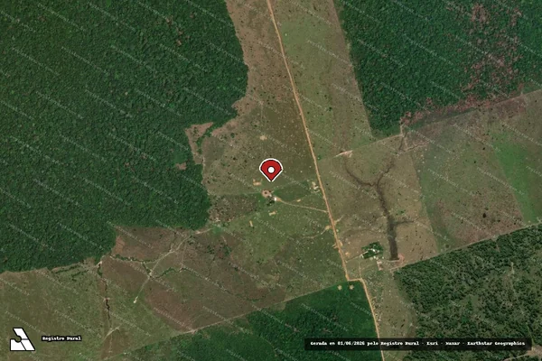 Imagem de satélite de Infração Ambiental em Boca do Acre - AM (marcador da localização)