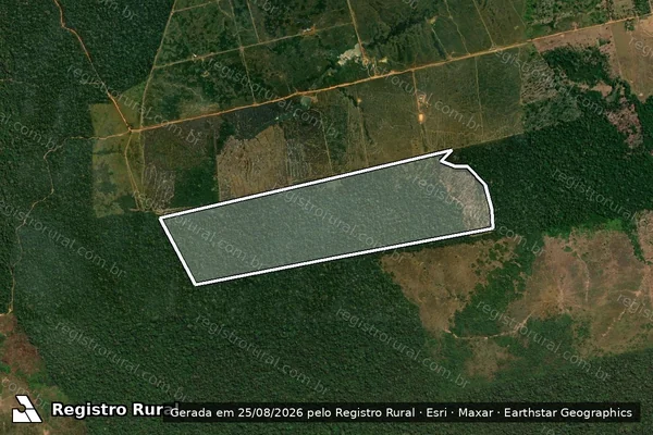 Imagem de satélite de Infração da Flora em Lábrea - AM