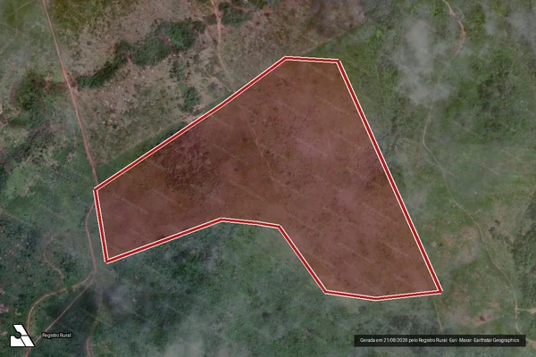 Imagem de satélite de Infração da Flora em Altamira - PA