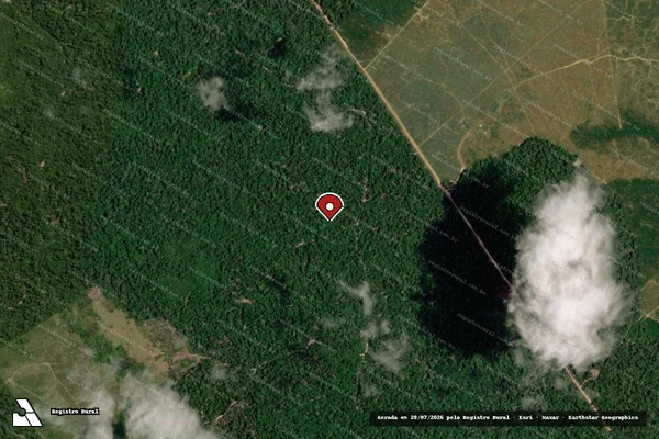 Imagem de satélite — Embargo IBAMA — Infração da Flora — Tailândia/PA