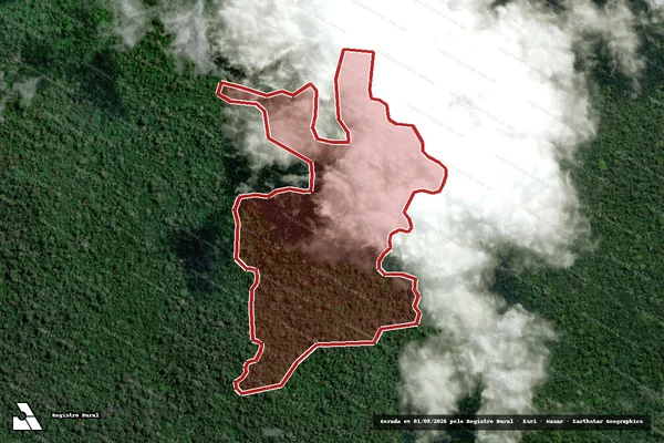 Imagem de satélite — Embargo Ambiental — Senador José Porfírio/PA