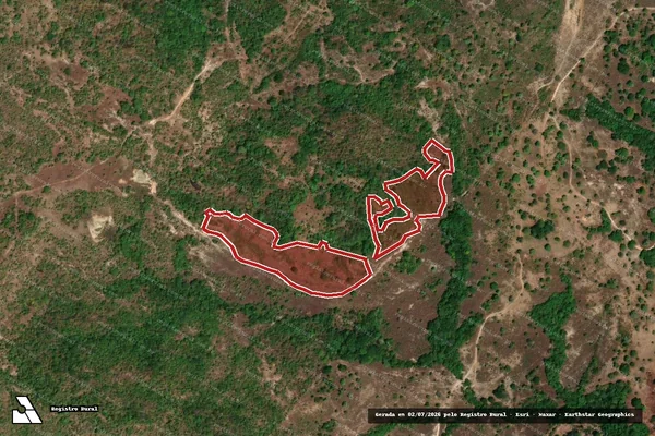 Imagem de satélite de Infração da Flora em Crixás - GO