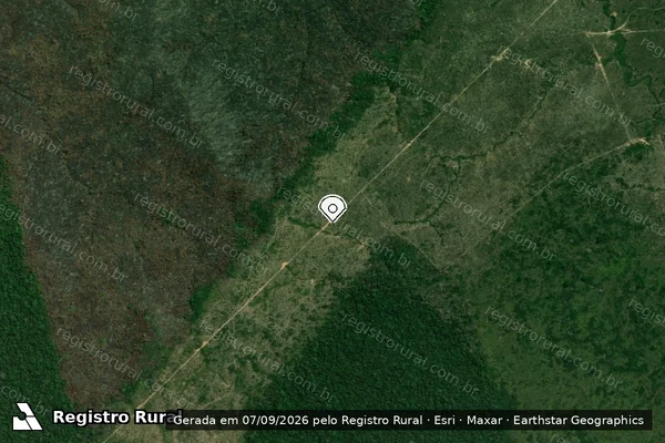 Imagem de satélite de Infração Ambiental em Apuí - AM (marcador da localização)