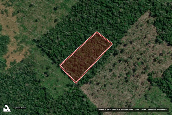 Imagem de satélite de Infração da Flora em Boca do Acre - AM