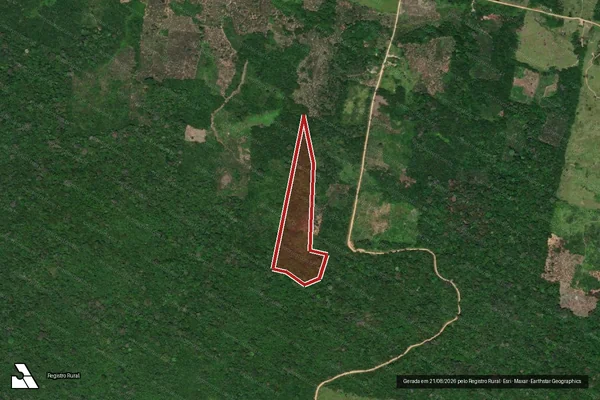 Imagem de satélite de Infração Ambiental em São João da Baliza - RR